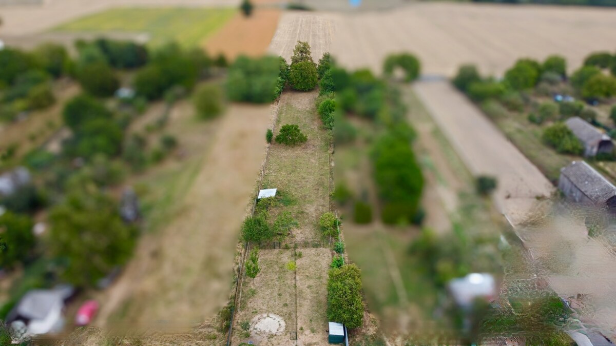 Rodinný dom s takmer 30-árovým pozemkom – Michalovce, Topoľany — foto 36