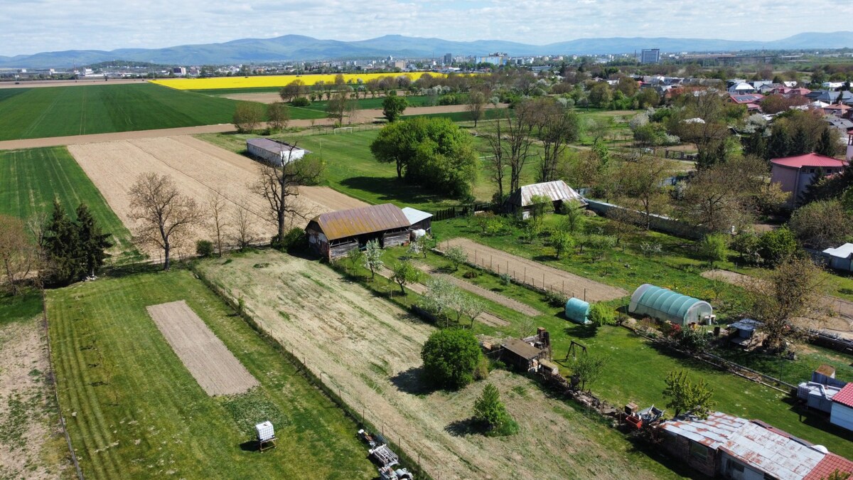 Pozemok so starým domom v Močaranoch — foto 9