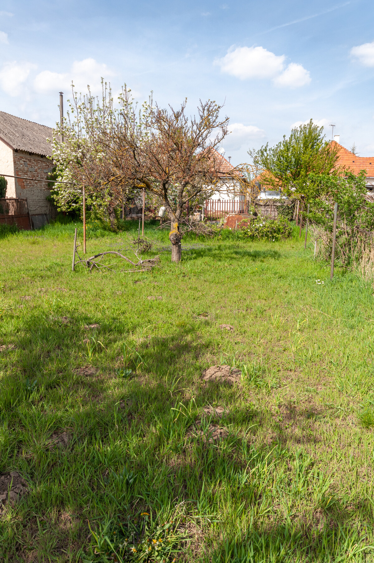 Na predaj RD i1 v obci Kostolný Sek - Šurany — foto 16