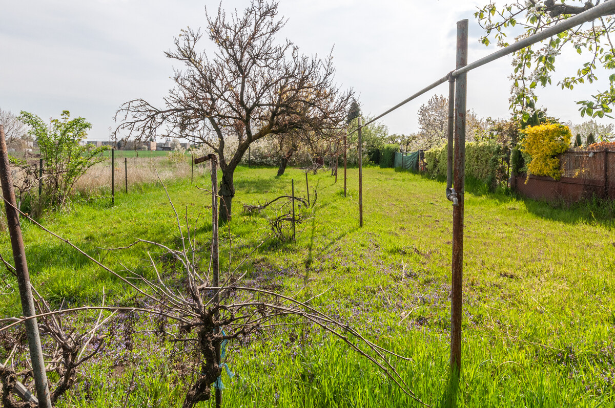 Na predaj RD i1 v obci Kostolný Sek - Šurany — foto 17