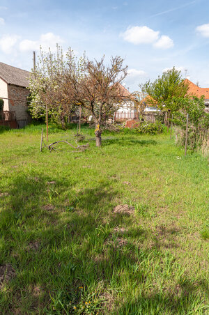 Na predaj RD i1 v obci Kostolný Sek - Šurany — foto 16
