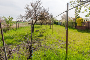 Na predaj RD i1 v obci Kostolný Sek - Šurany — foto 17