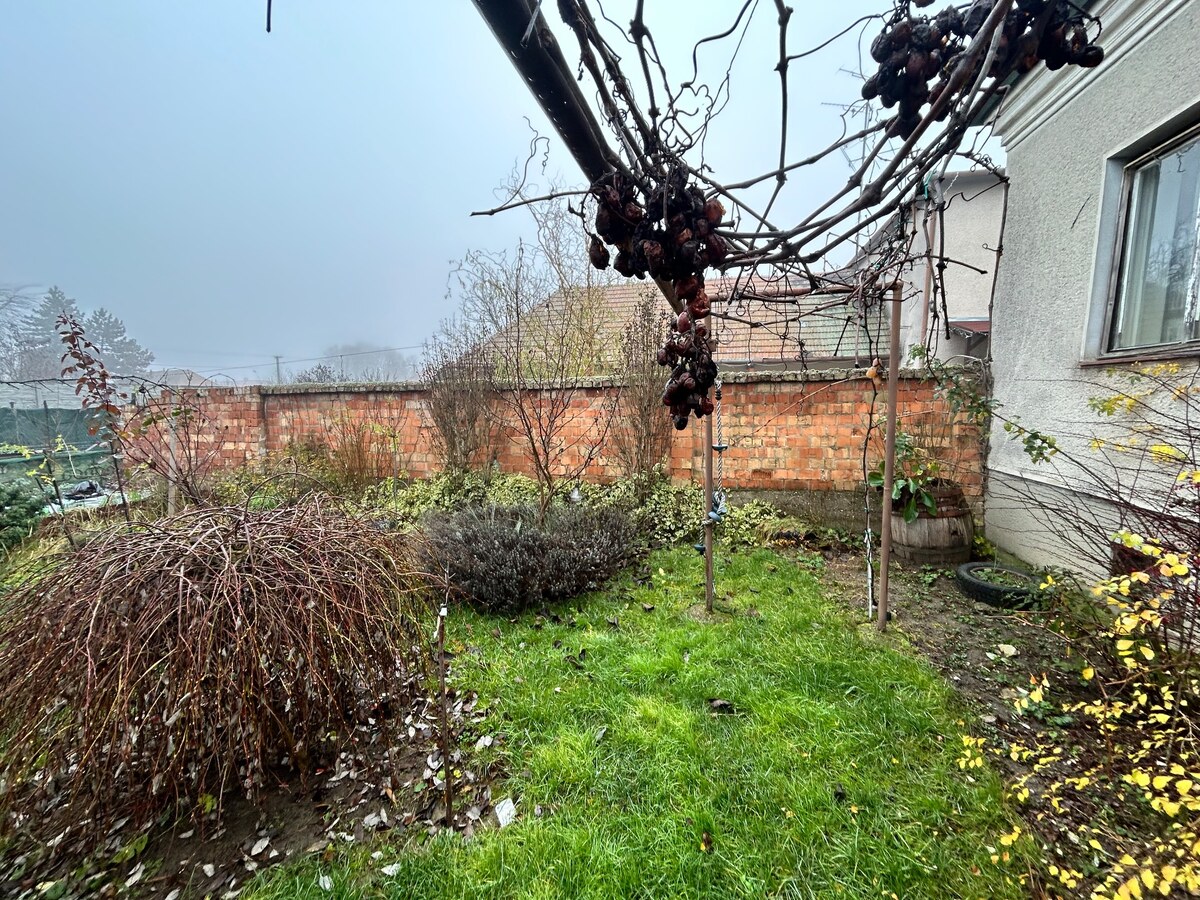 Predaj staršieho RD vo Dvoroch nad Žitavou — foto 17