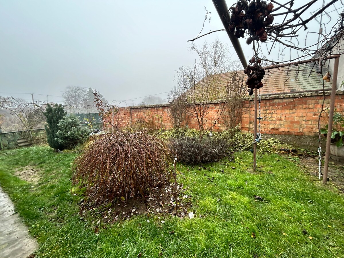 Predaj staršieho RD vo Dvoroch nad Žitavou — foto 18