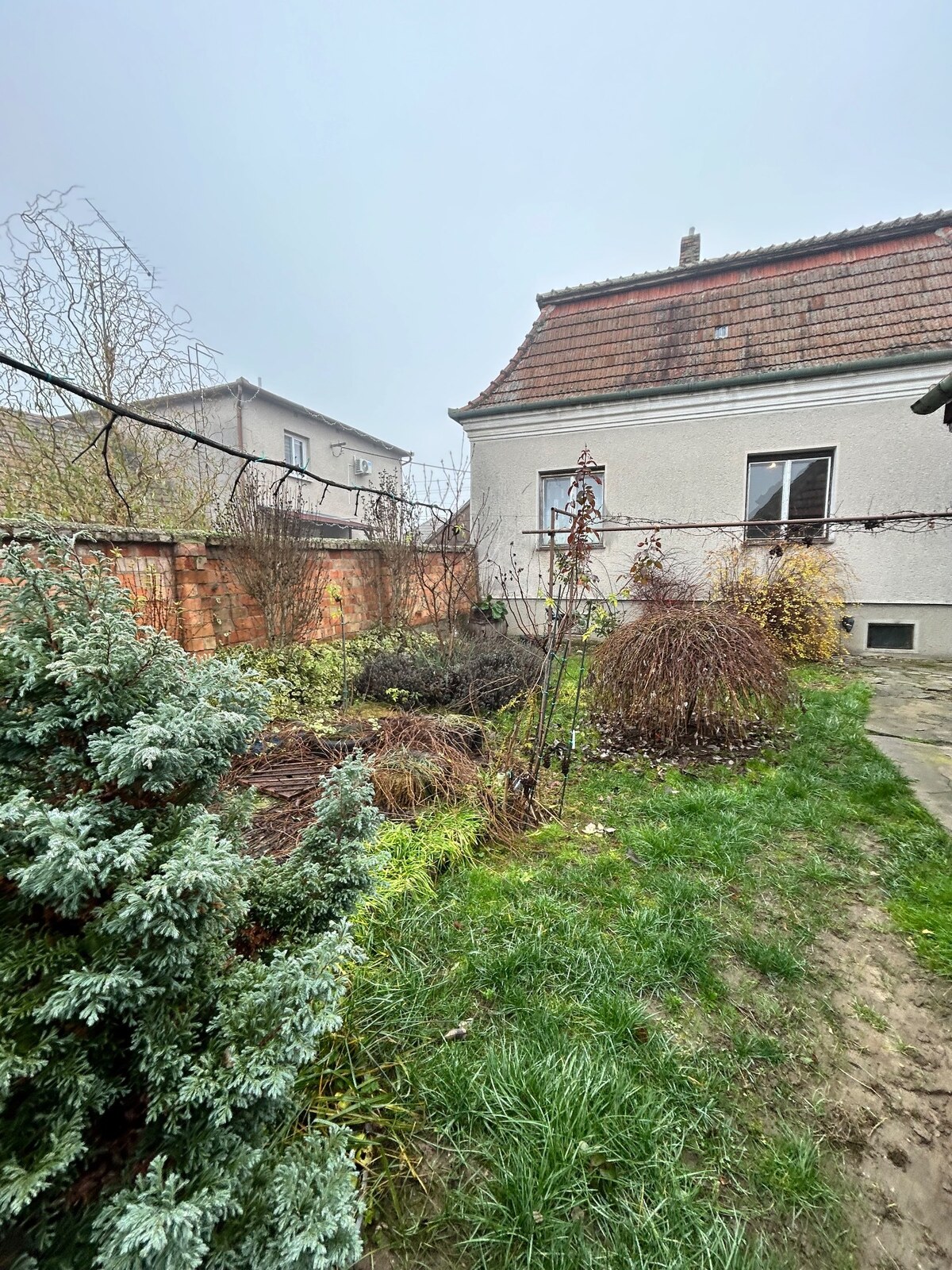 Predaj staršieho RD vo Dvoroch nad Žitavou — foto 2