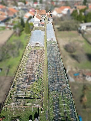 Predaj 20 á  slnečného pozemku s RD v Nových Zámkoch. — foto 1