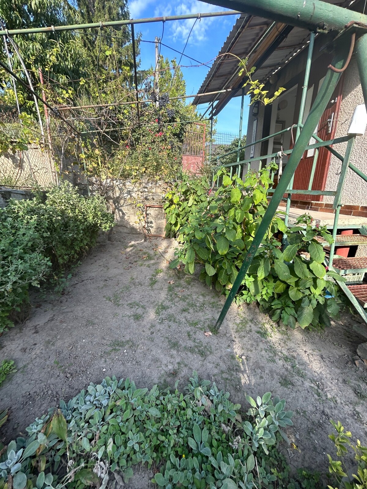 Predaj murovanej chaty so záhradou na Zúgove — foto 11