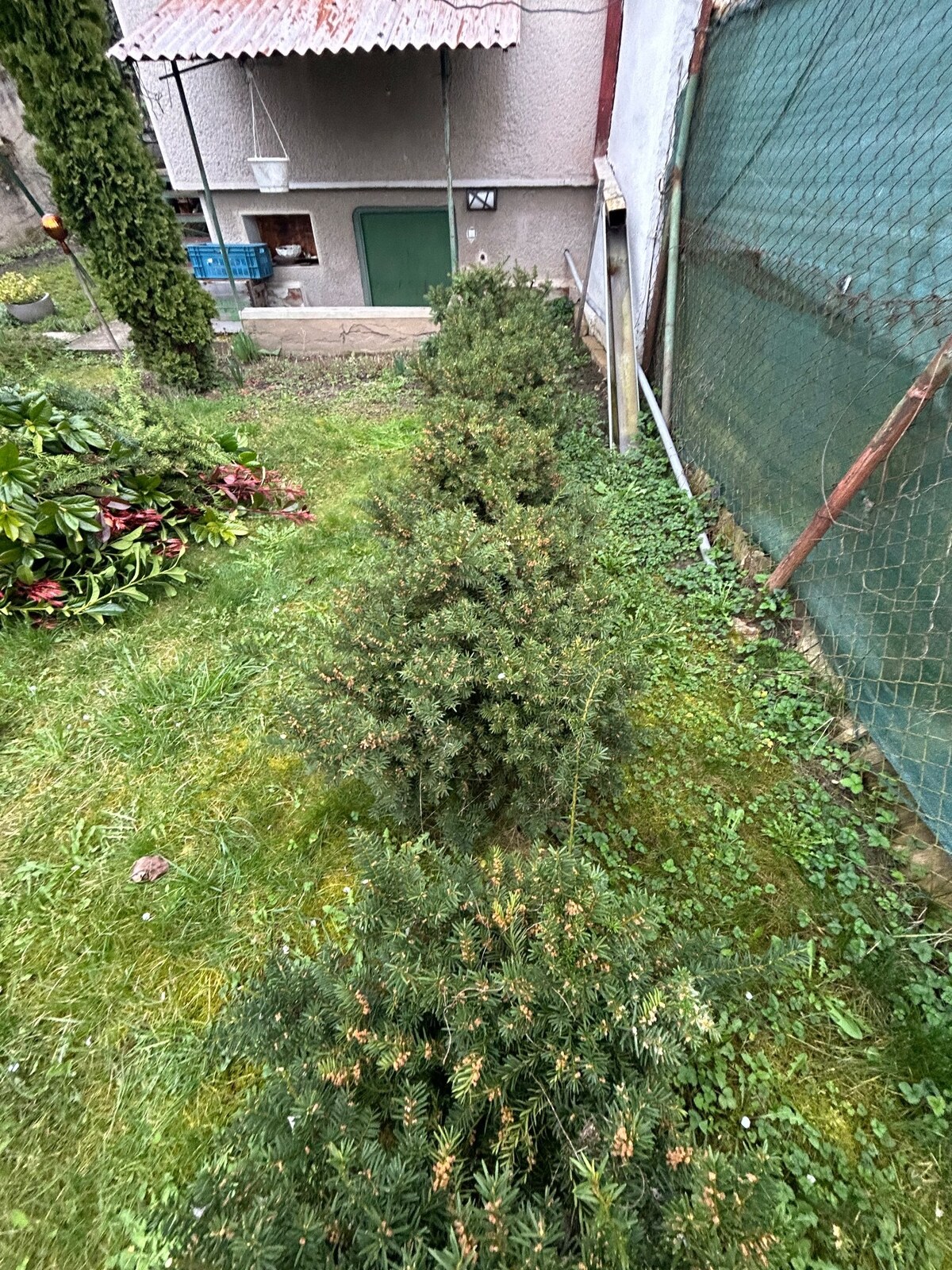 Predaj murovanej chaty so záhradou na Zúgove — foto 17