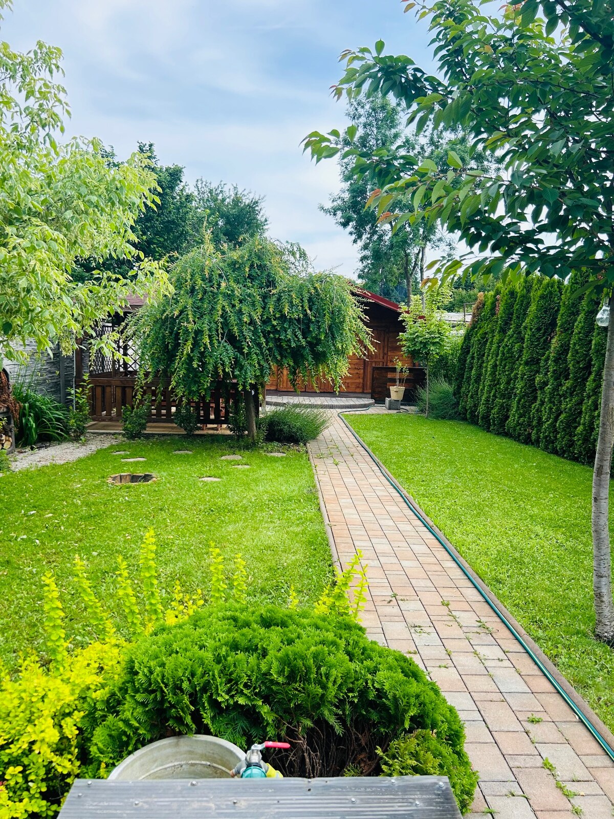 Ponúkam na predaj relax záhradu s chatou na Tekvičnom poli — foto 2