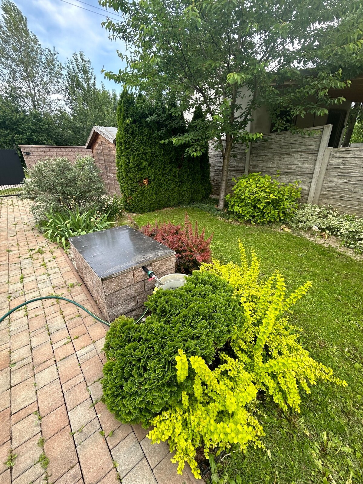 Ponúkam na predaj relax záhradu s chatou na Tekvičnom poli — foto 4