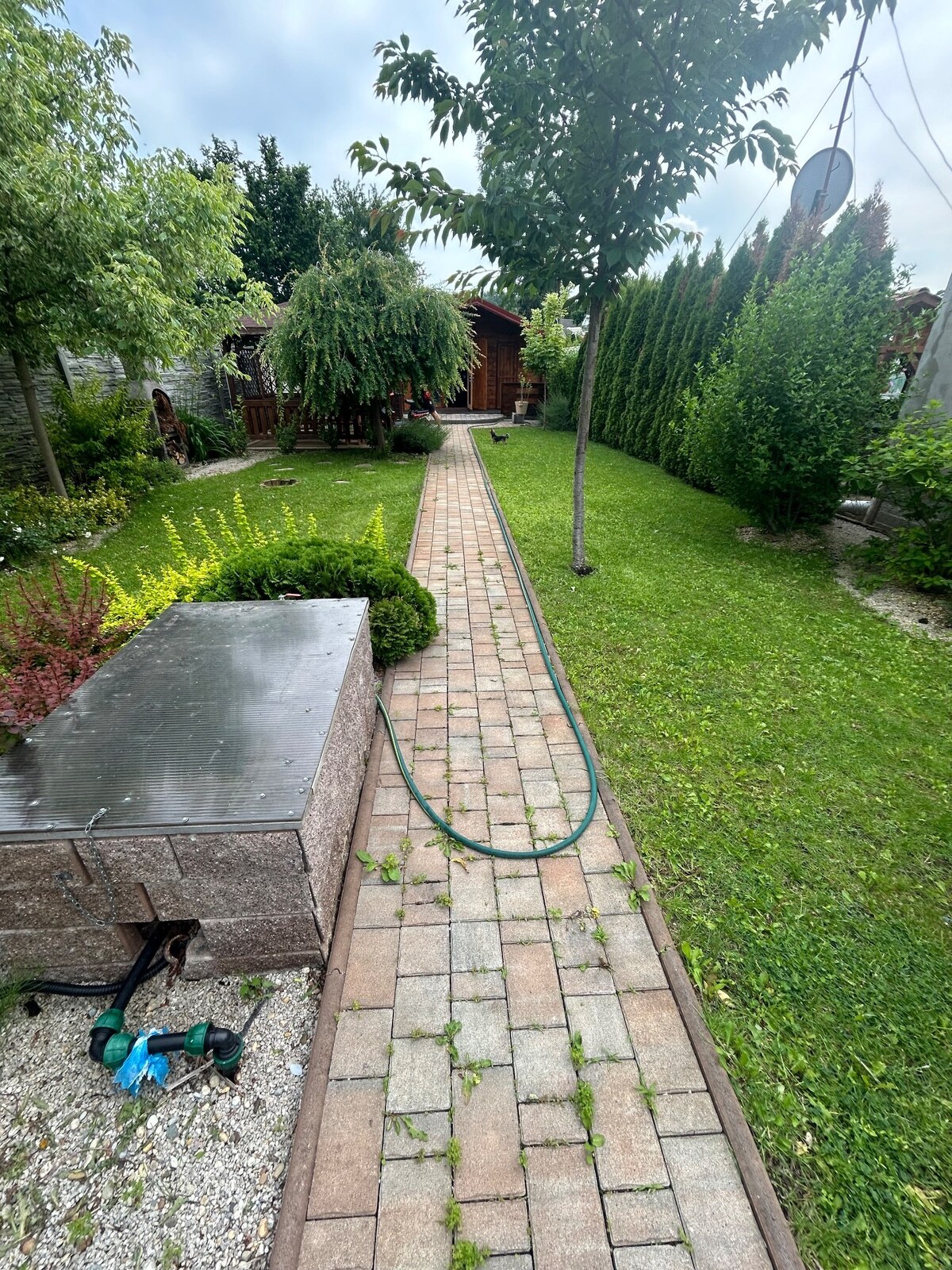 Ponúkam na predaj relax záhradu s chatou na Tekvičnom poli — foto 6