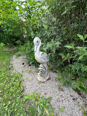 Ponúkam na predaj relax záhradu s chatou na Tekvičnom poli — foto 11