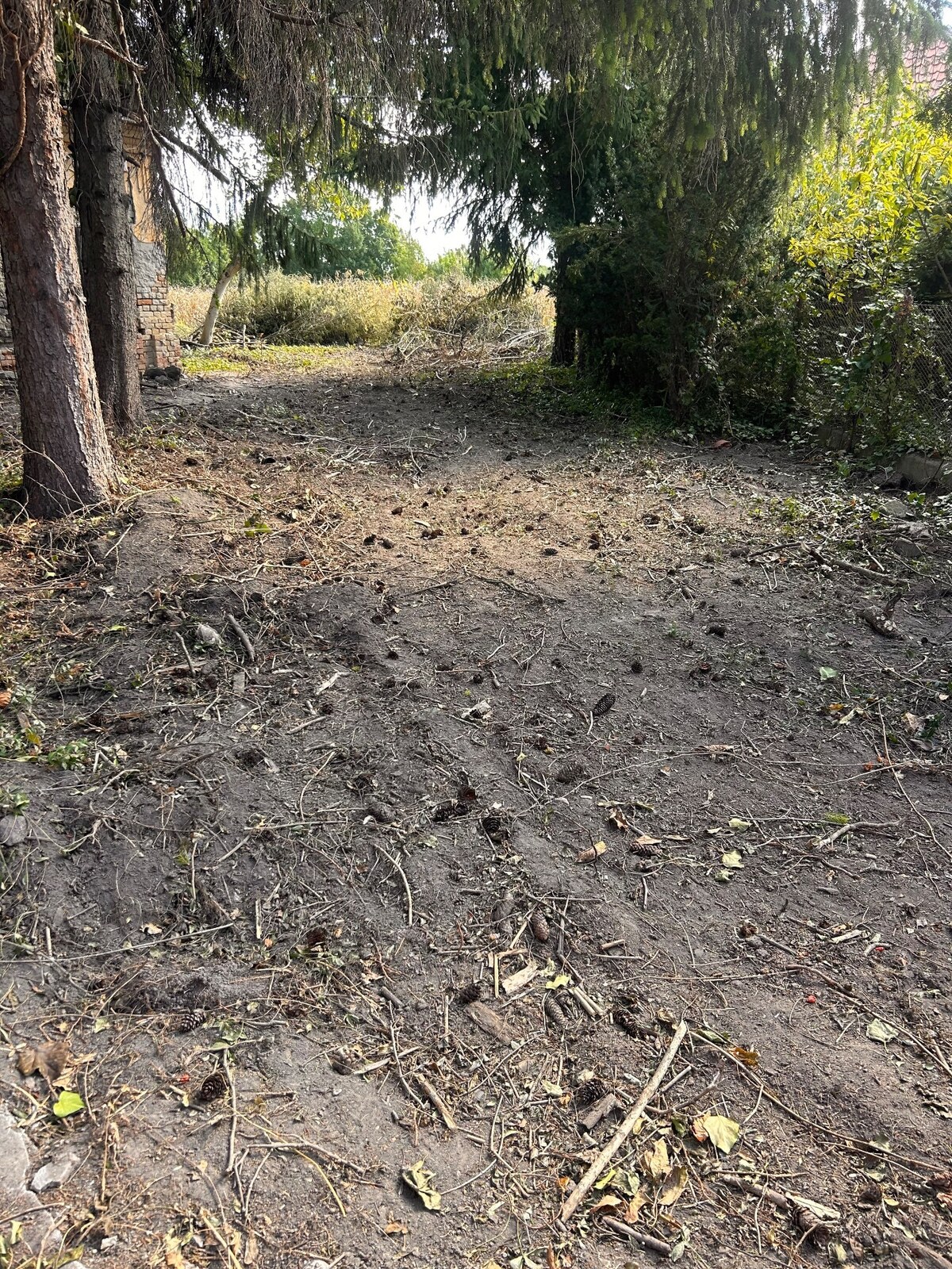 Predaj staršieho RD v Palárikove s veľkým pozemkom — foto 16