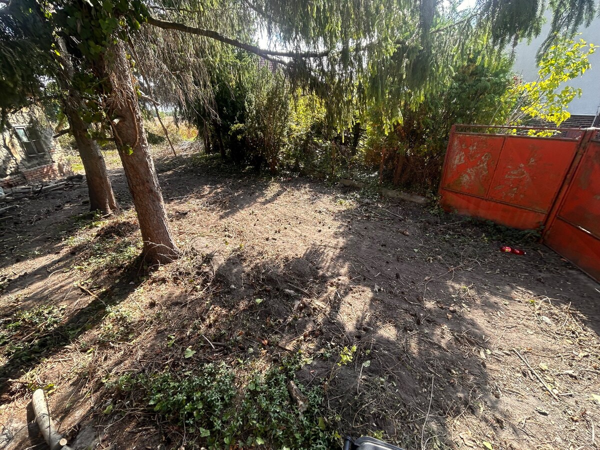 Predaj staršieho RD v Palárikove s veľkým pozemkom — foto 17