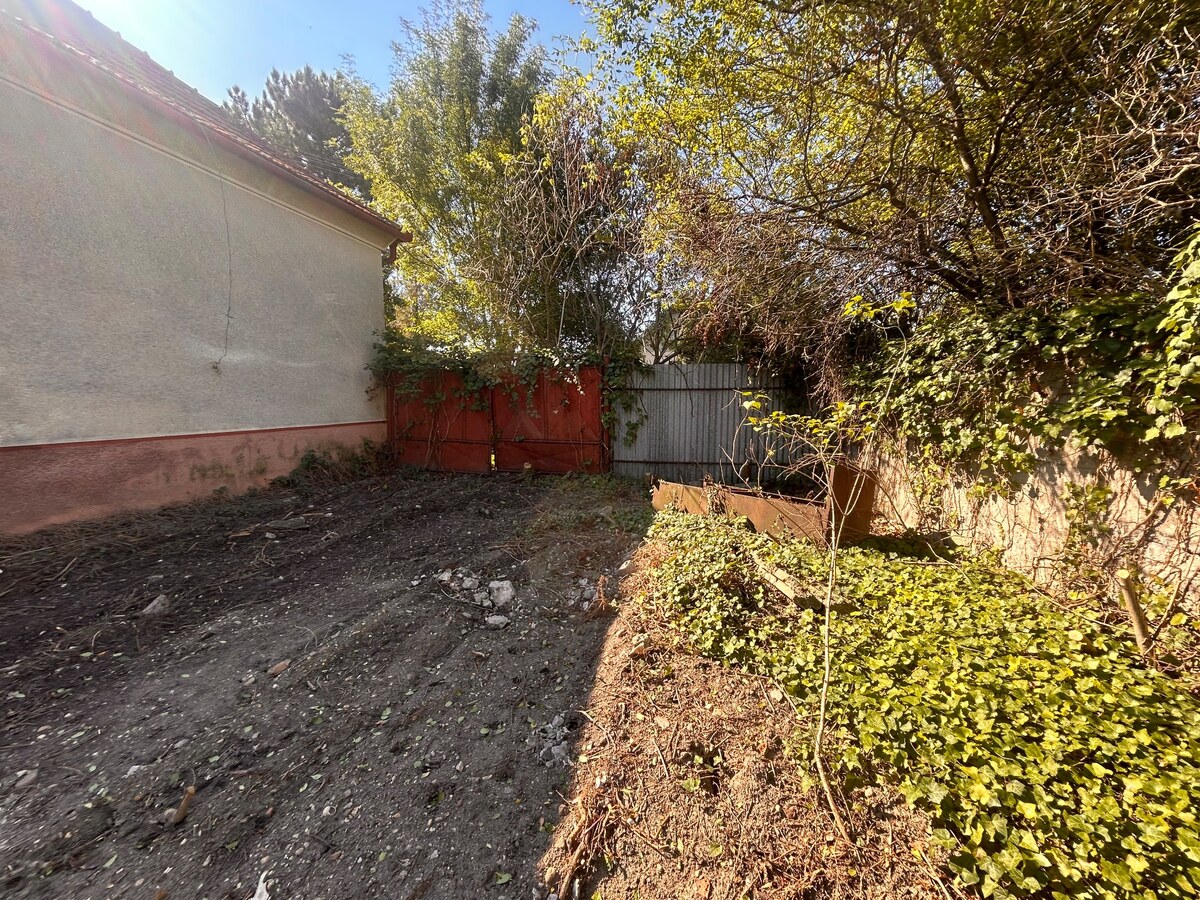 Predaj staršieho RD v Palárikove s veľkým pozemkom — foto 19