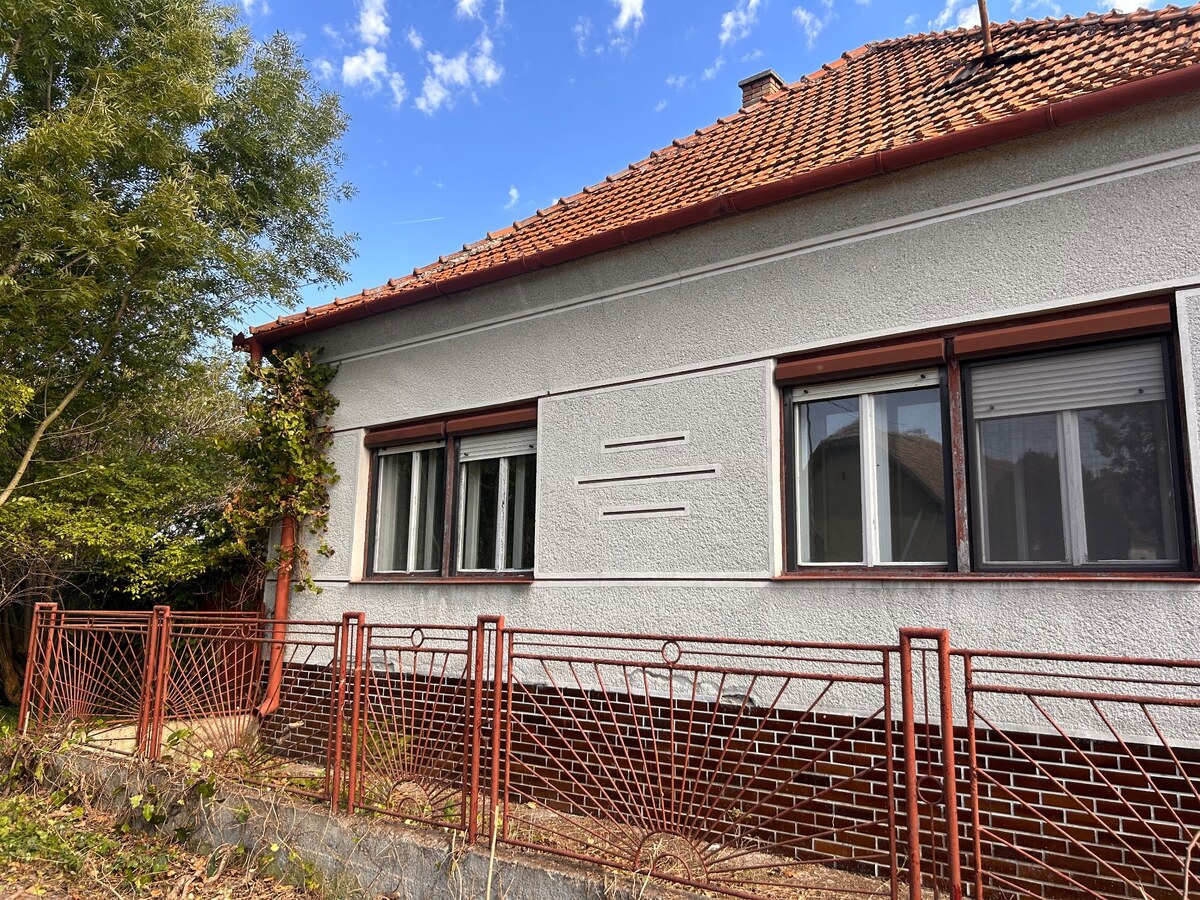 Predaj staršieho RD v Palárikove s veľkým pozemkom — foto 2