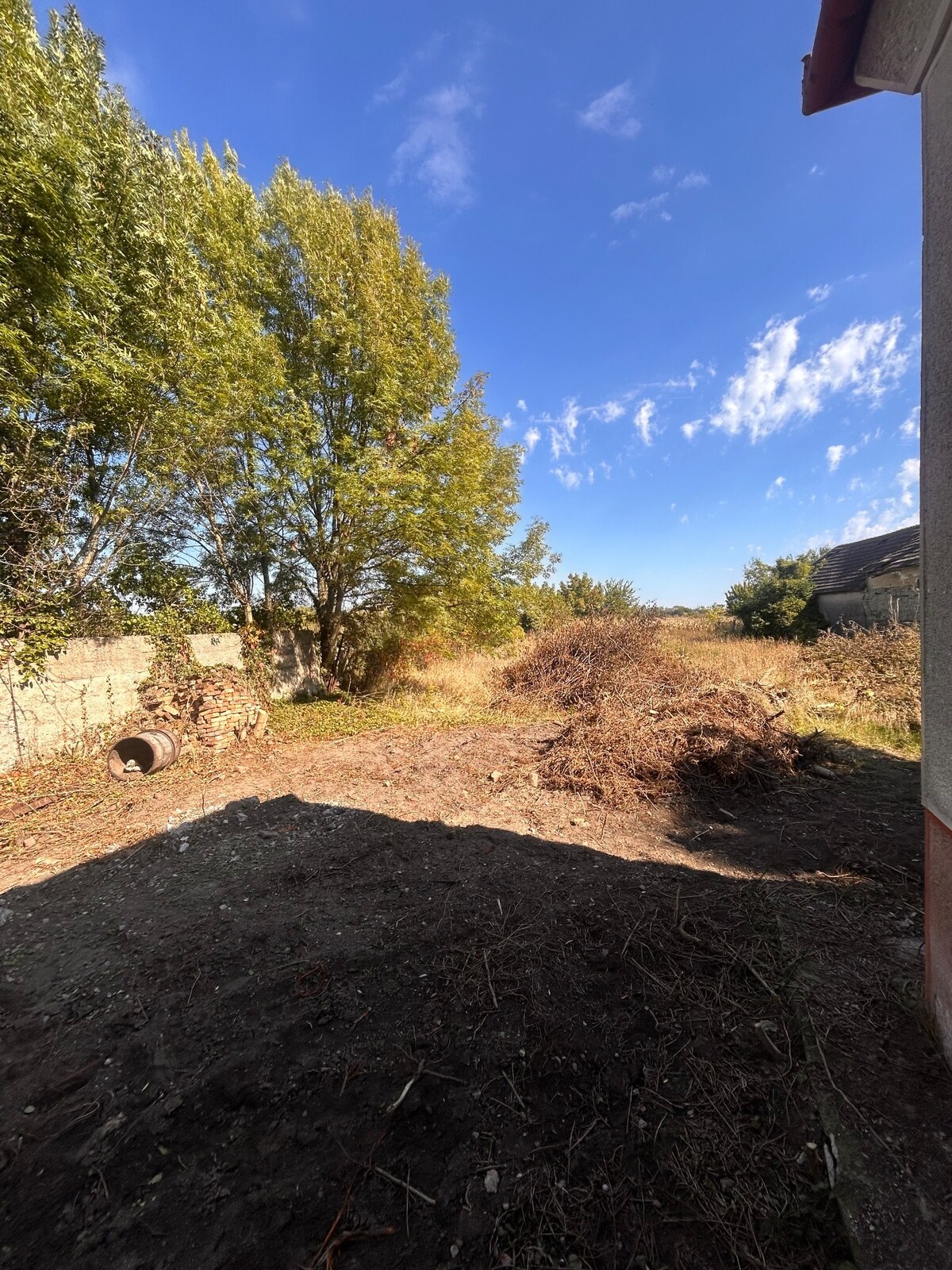 Predaj staršieho RD v Palárikove s veľkým pozemkom — foto 21