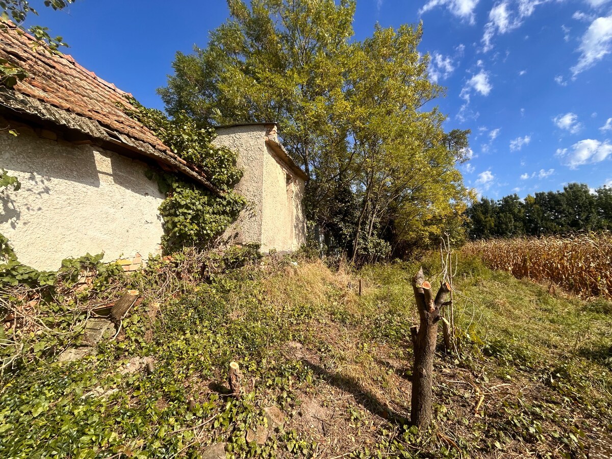 Predaj staršieho RD v Palárikove s veľkým pozemkom — foto 22