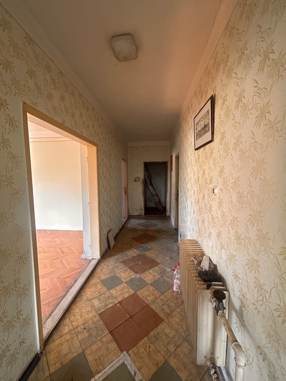 Predaj staršieho RD v Palárikove s veľkým pozemkom — foto 7