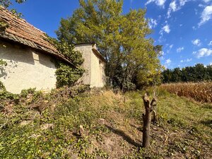 Predaj staršieho RD v Palárikove s veľkým pozemkom — foto 22