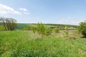 Predaj 43 árového pozemku v Nitre — foto 3
