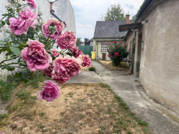 STAVEBNÝ POZEMOK 634 m² V EXKLUZÍVNEJ LOKALITE