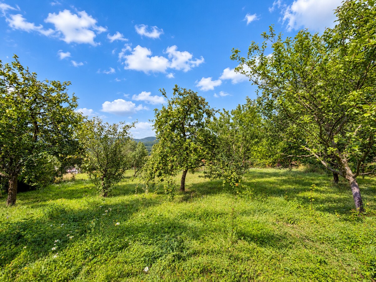 Na predaj chalupa s pozemkom 494 m² – Horná Súča, časť Repákovci — foto 18