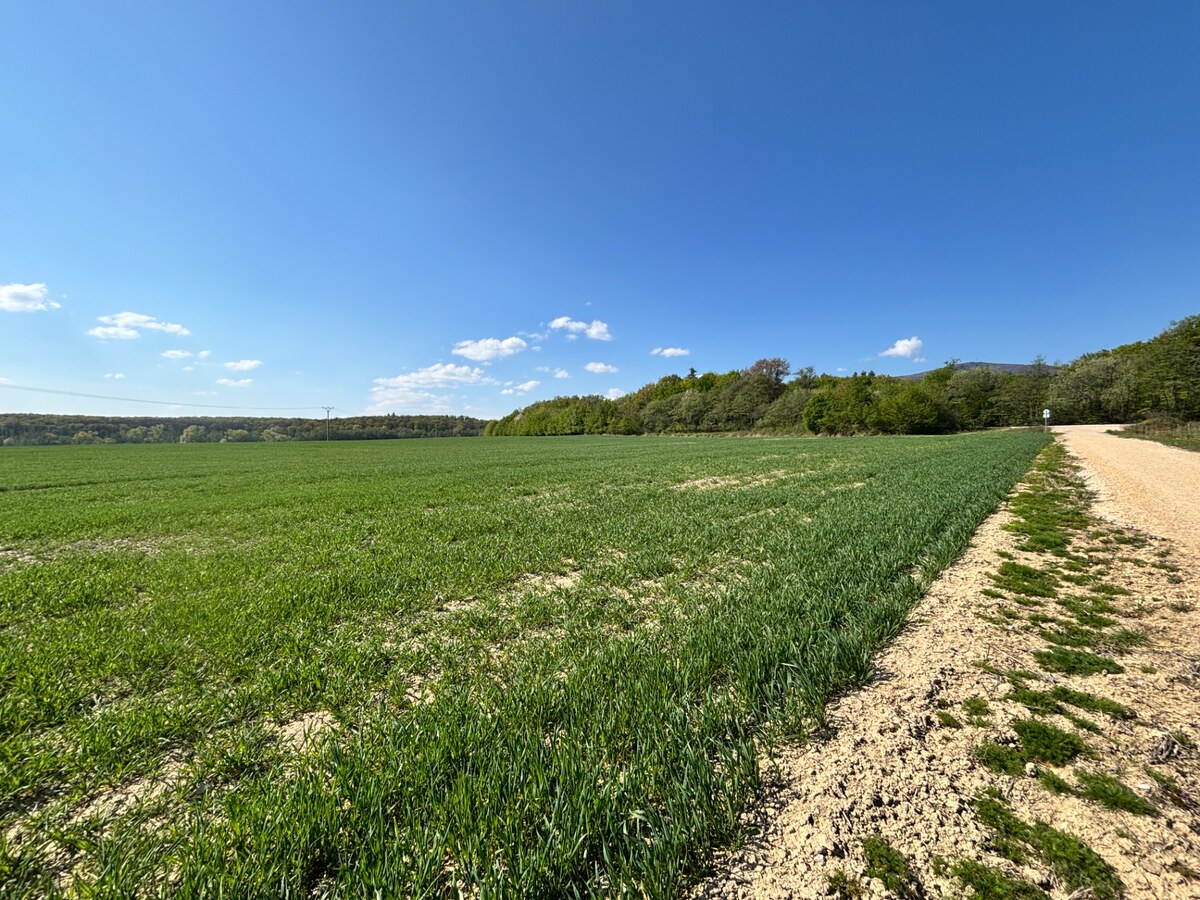 Na predaj pozemok – orná pôda, 2225 m², Trenčianske Jastrabie — foto 3