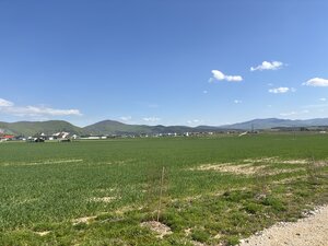 Na predaj pozemok – orná pôda, 2225 m², Trenčianske Jastrabie — foto 5