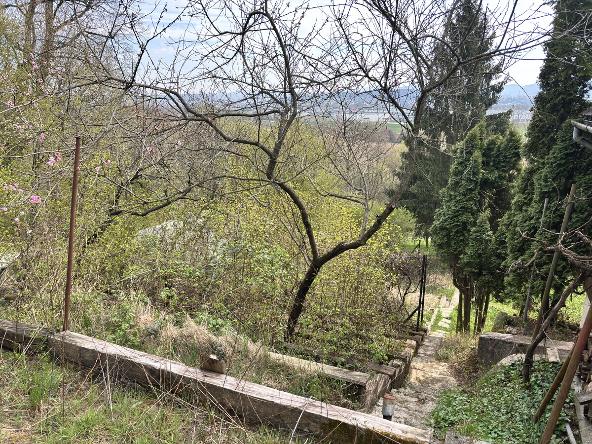 Na predaj záhradný pozemok s chatkou, Kostolná - Záriečie — foto 13