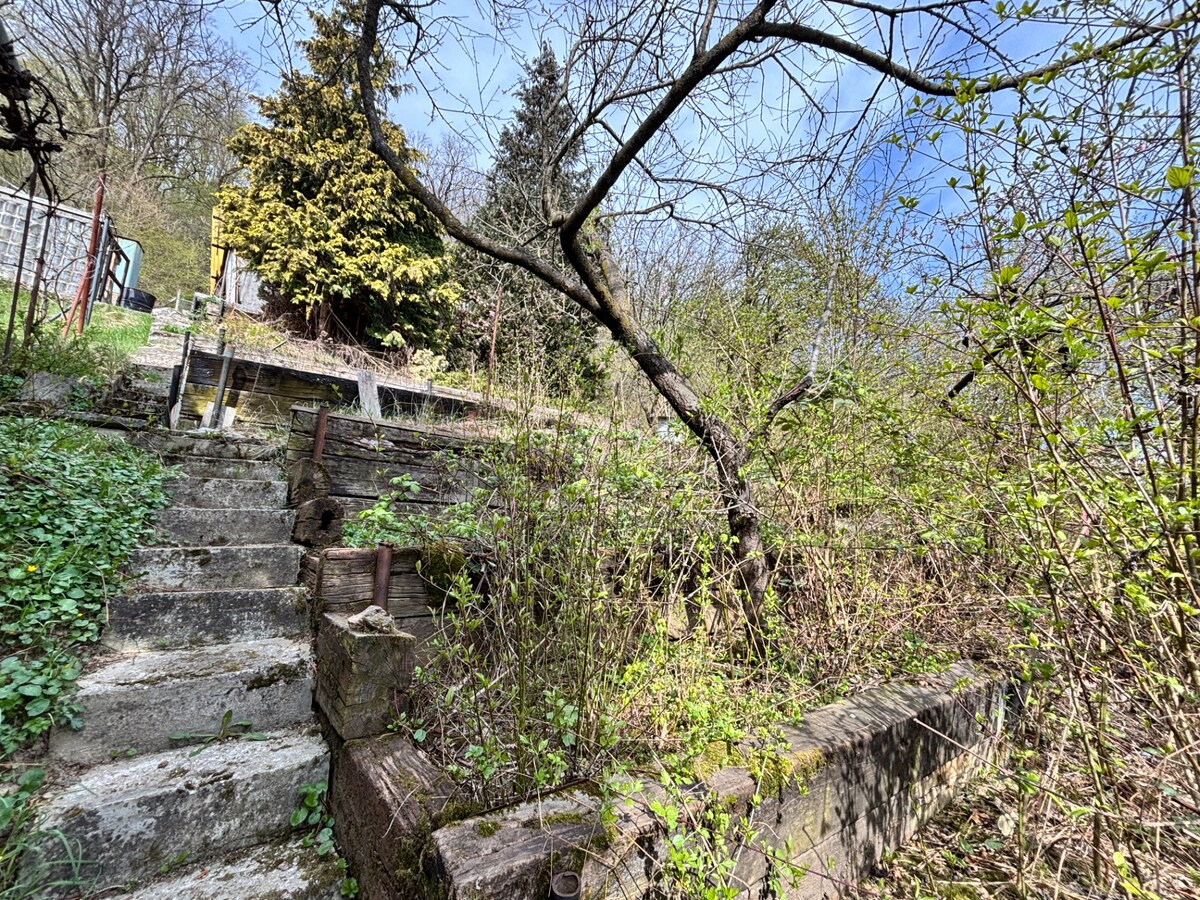 Na predaj záhradný pozemok s chatkou, Kostolná - Záriečie — foto 14