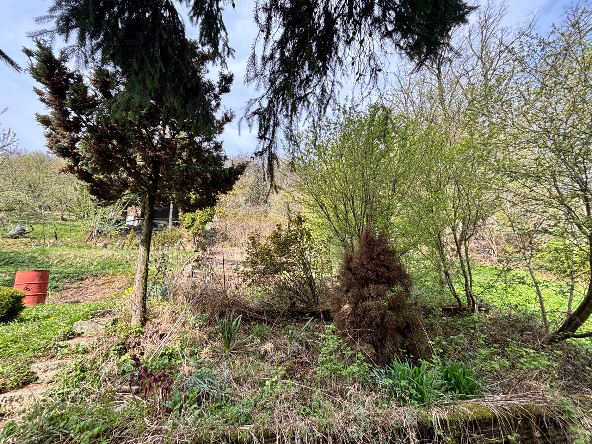 Na predaj záhradný pozemok s chatkou, Kostolná - Záriečie — foto 16