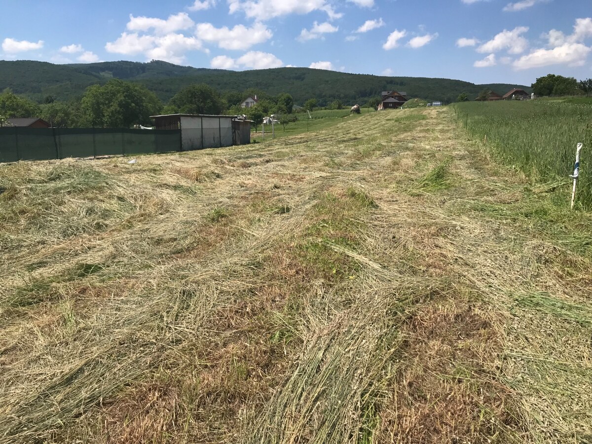 Na predaj investičný stavebný pozemok pre 3 RD, Trenč.Jastrabie — foto 5
