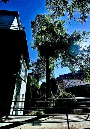 Kancelárske priestory na prenájom, Trenčín, ul. M.R.Štefánika — foto 11