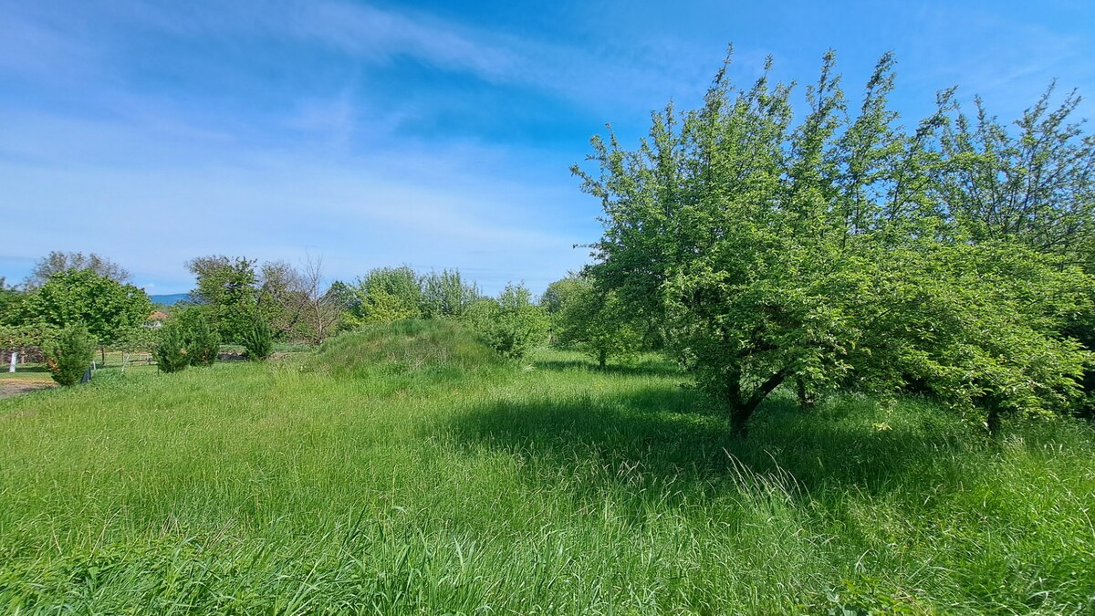 Rodinný dom, garáž a záhrada 2.600 m2, Žemberovce, Dohoda možná — foto 8