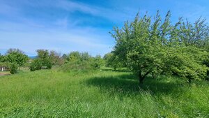 Rodinný dom, garáž a záhrada 2.600 m2, Žemberovce, Dohoda možná — foto 8