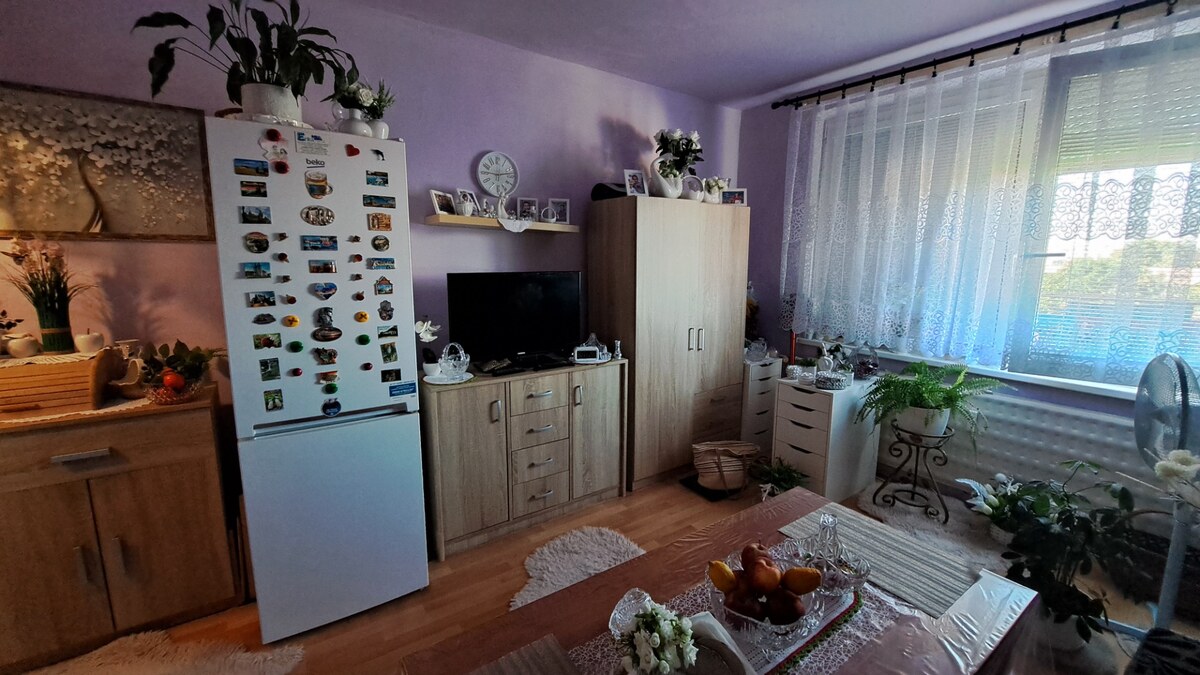Garsónka  21,50 m2 s pivnicou, ul. P.O.Hviezdoslava, Levice — foto 6