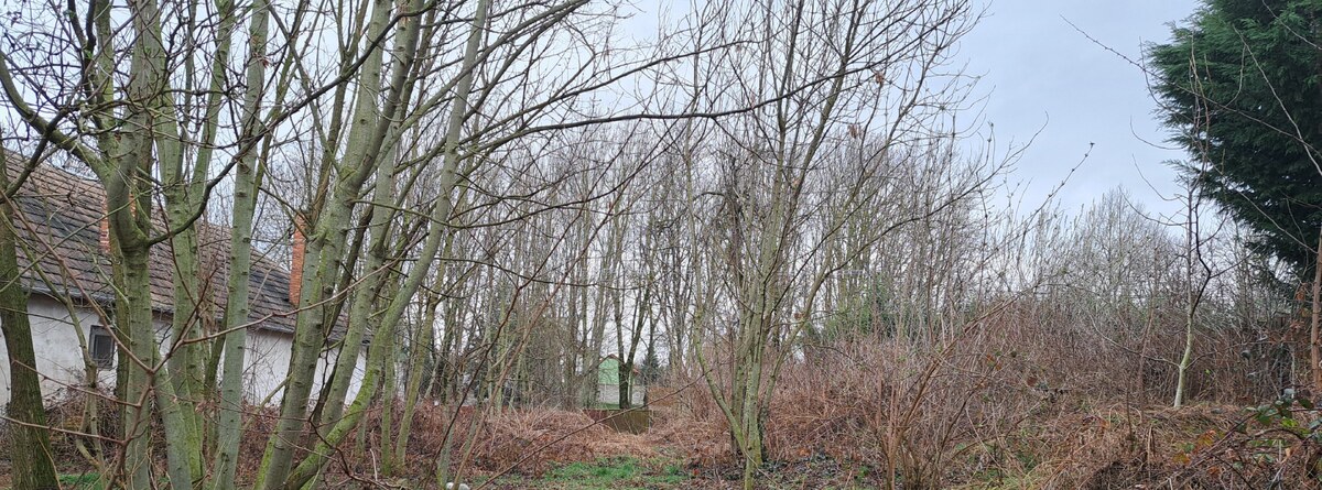Stavebný pozemok 2.720 m2, šírka 20 m, LOK, CENA dohodou, Ponúknite — foto 3