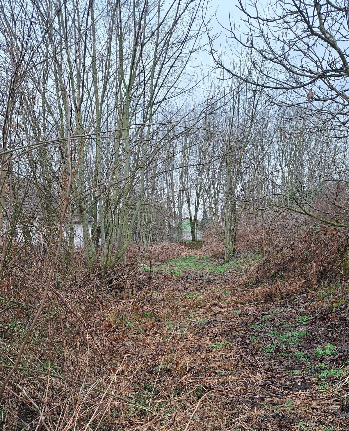 Stavebný pozemok 2.720 m2, šírka 20 m, LOK, CENA dohodou, Ponúknite — foto 4