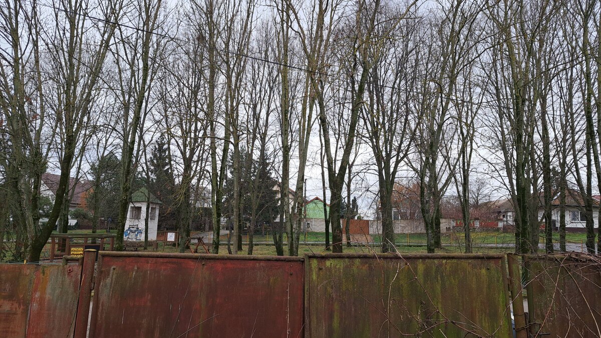 Stavebný pozemok 2.720 m2, šírka 20 m, LOK, CENA dohodou, Ponúknite — foto 6