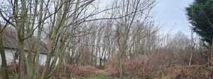 Stavebný pozemok 2.720 m2, šírka 20 m, LOK, CENA dohodou, Ponúknite — foto 3
