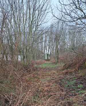 Stavebný pozemok 2.720 m2, šírka 20 m, LOK, CENA dohodou, Ponúknite — foto 4