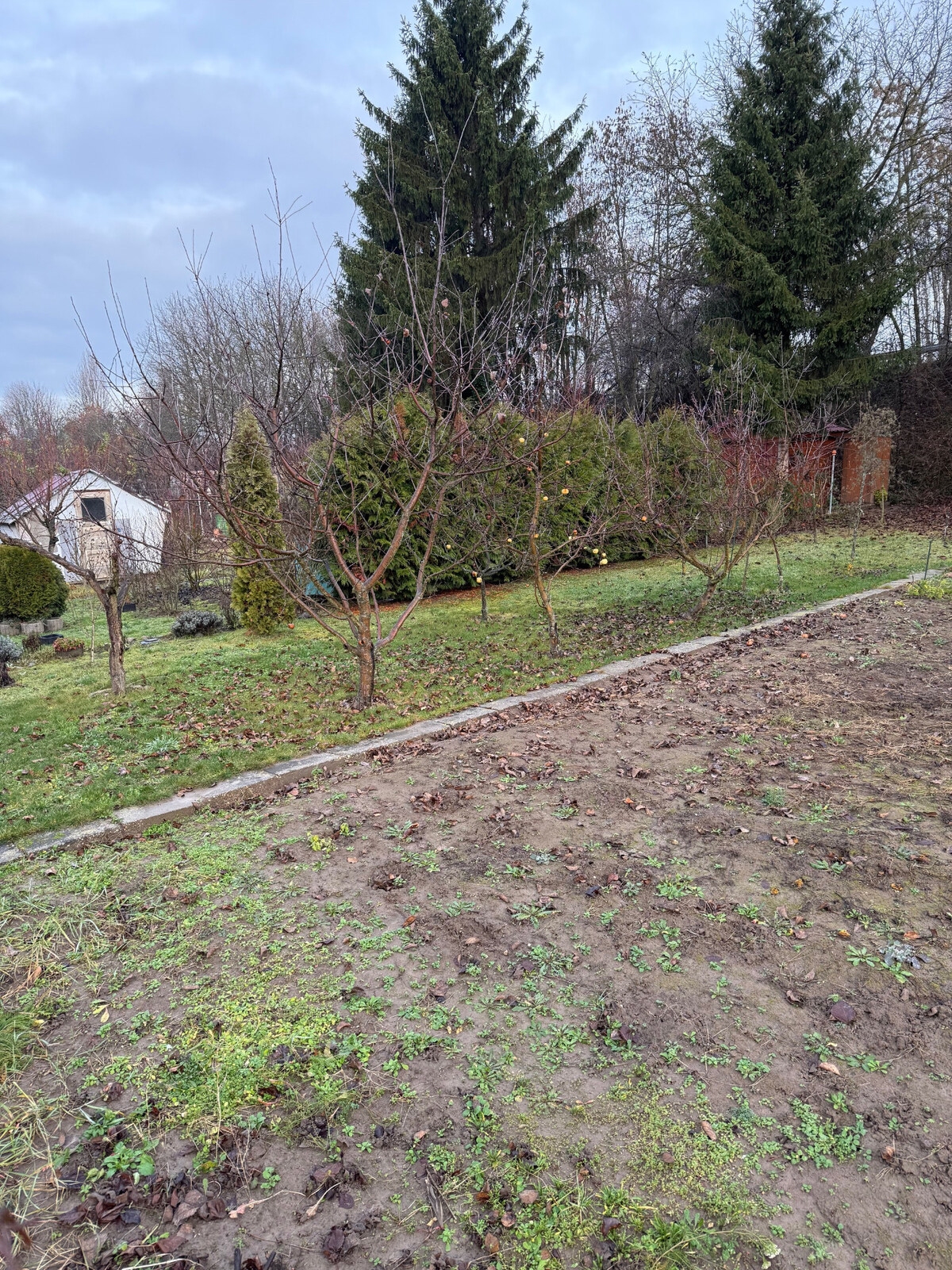 Záhrada Levice - Podhradie 311m2 — foto 3