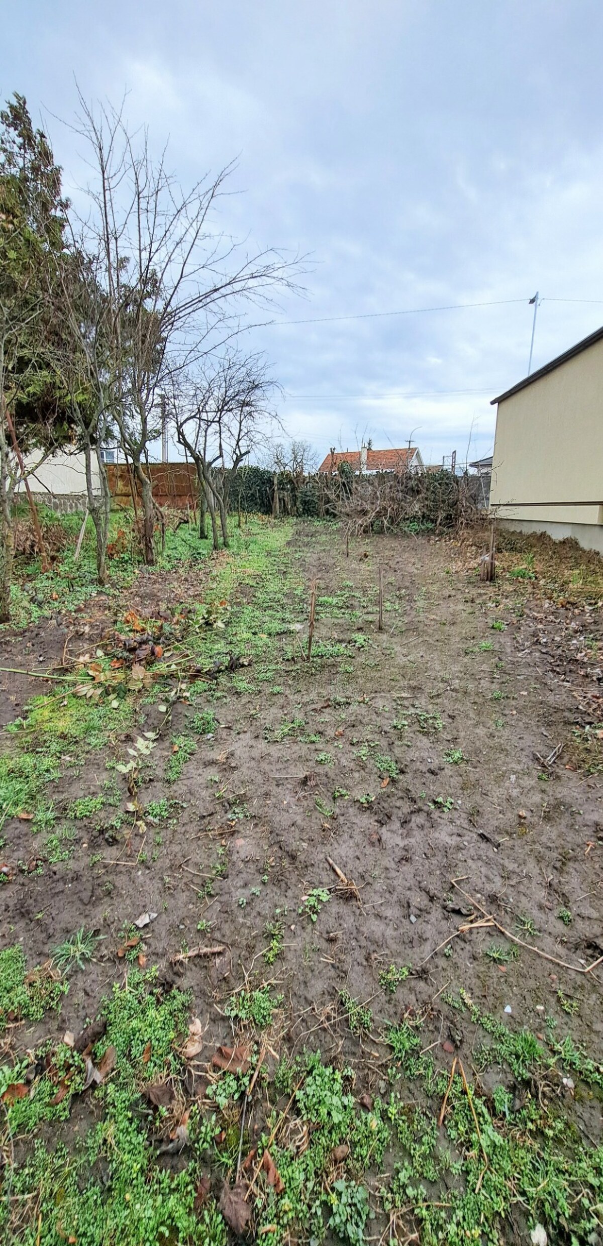 CENA dohodou, Stavebný pozemok 1.382 m2, šírka 24m, Levice — foto 2