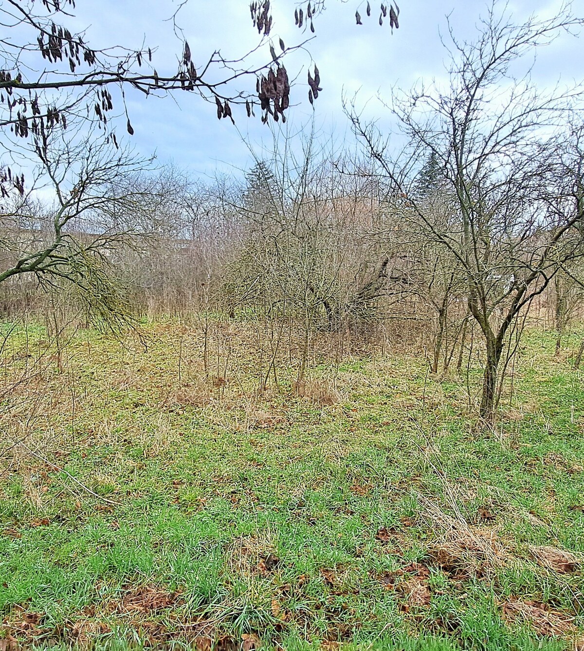 CENA dohodou, Stavebný pozemok 1.382 m2, šírka 24m, Levice — foto 4