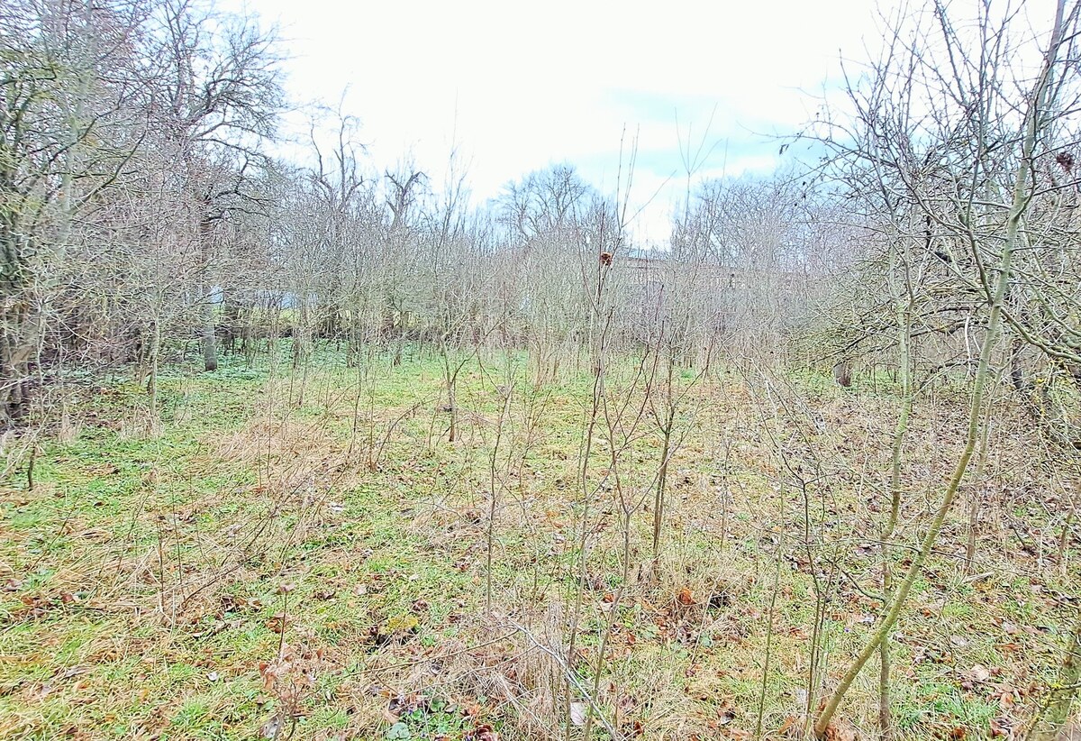 CENA dohodou, Stavebný pozemok 1.382 m2, šírka 24m, Levice — foto 5
