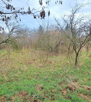 CENA dohodou, Stavebný pozemok 1.382 m2, šírka 24m, Levice — foto 4
