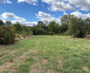 Stavebné pozemky od 500 do 1500 m2, celkom 4.500 m2 blízko Levíc — foto 1