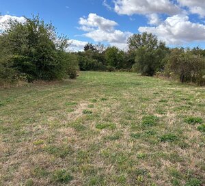 Stavebné pozemky od 500 do 1500 m2, celkom 4.500 m2 blízko Levíc — foto 3
