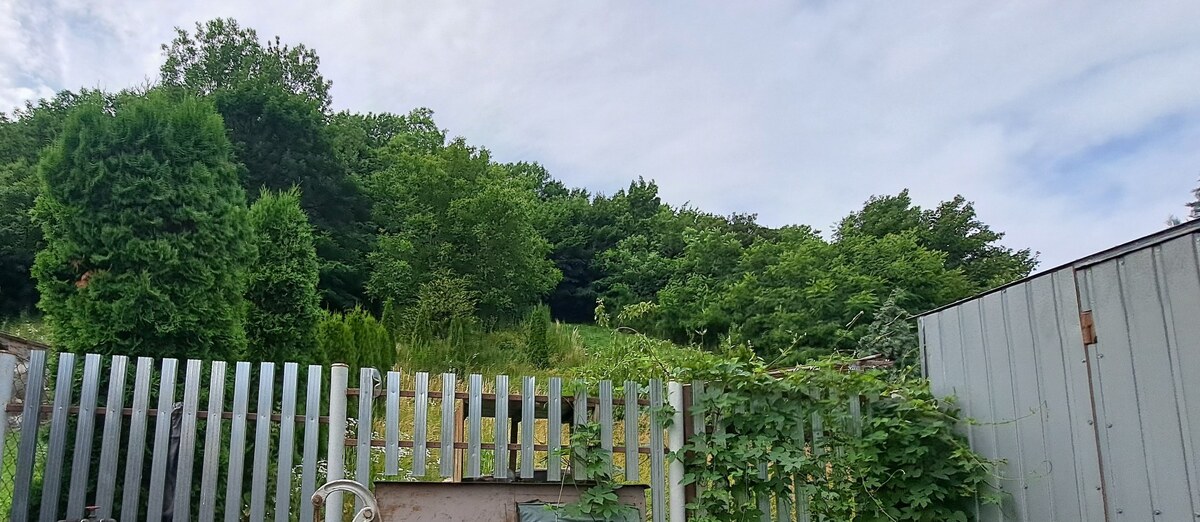Rodinný dom a záhrada 650 m2, Hronský Beňadik, DOHODA (SM - 907) — foto 11